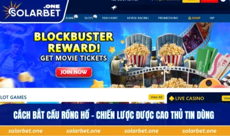 Cách bắt cầu rồng hổ