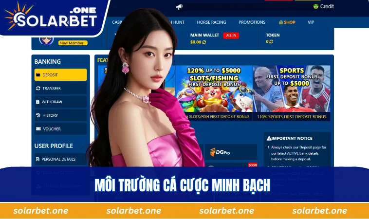 Môi trường cá cược minh bạch