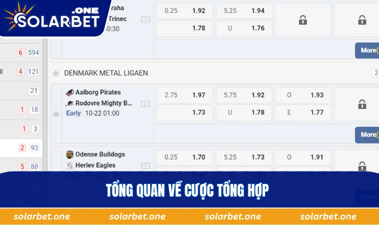 Tổng quan về cược tổng hợp